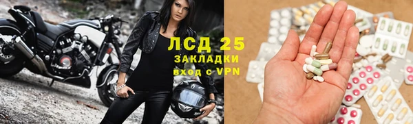 бошки Бородино