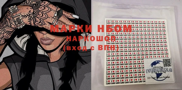 бошки Бородино