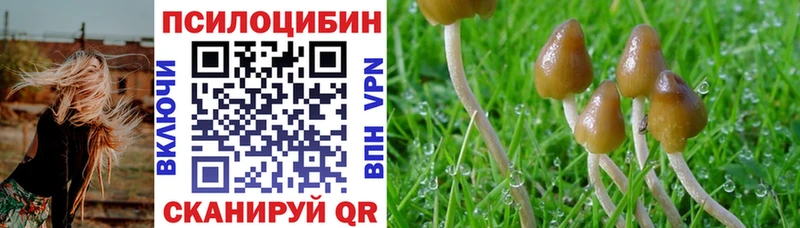 Галлюциногенные грибы GOLDEN TEACHER Яблоновский